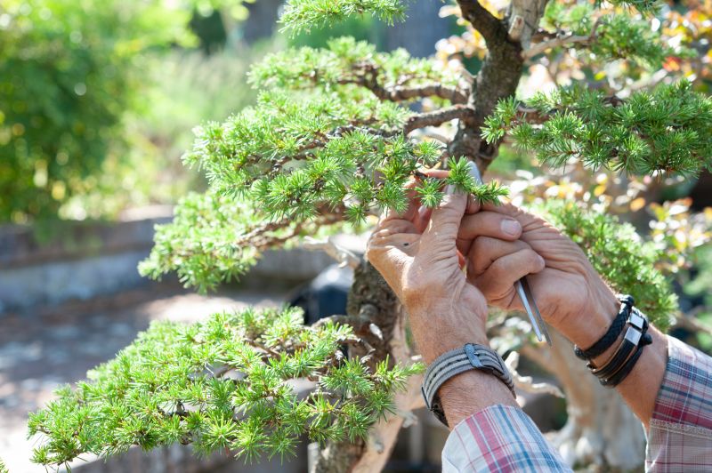 Japanese Tree Pruning