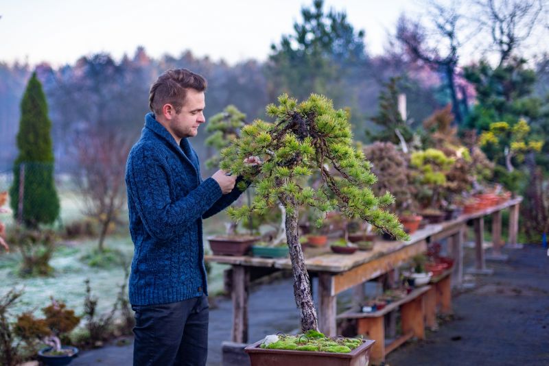 Japanese Tree Pruning