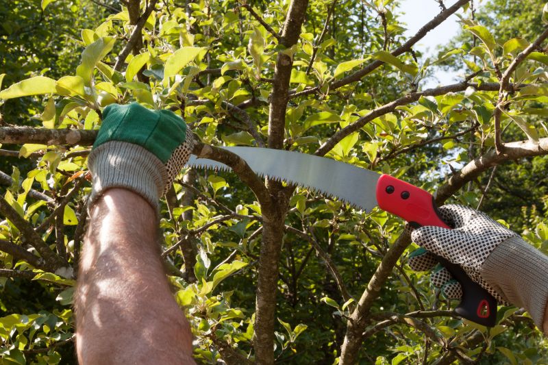 Pruning Schedule