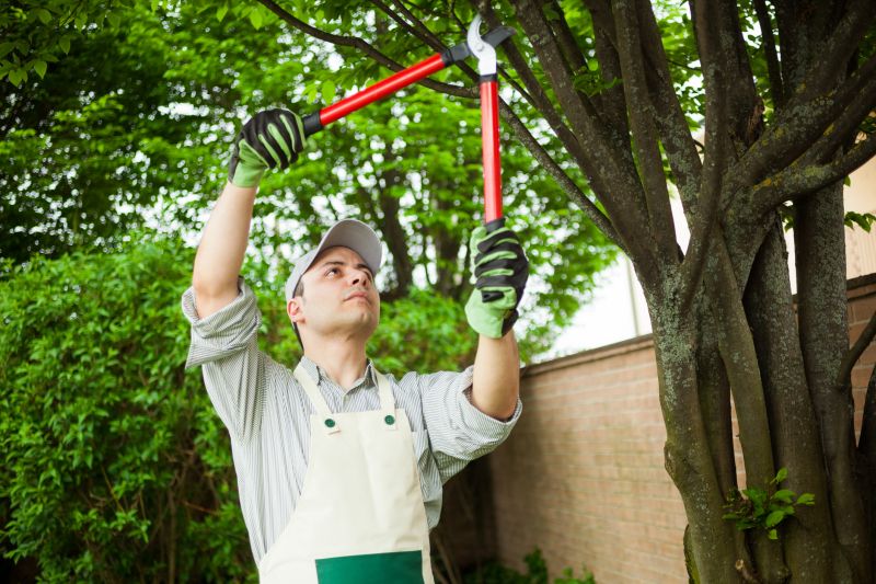 Pruning Large Branches