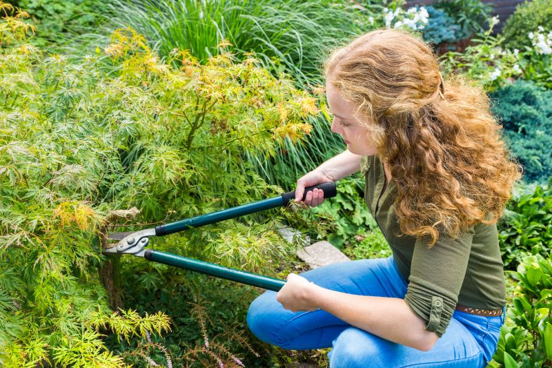 Japanese Tree Pruning Services